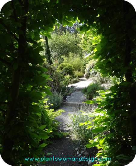 hornbeam arch