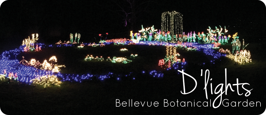 Bellevue Botanical Garden D Lights Dirty Fingers Muddy Knees