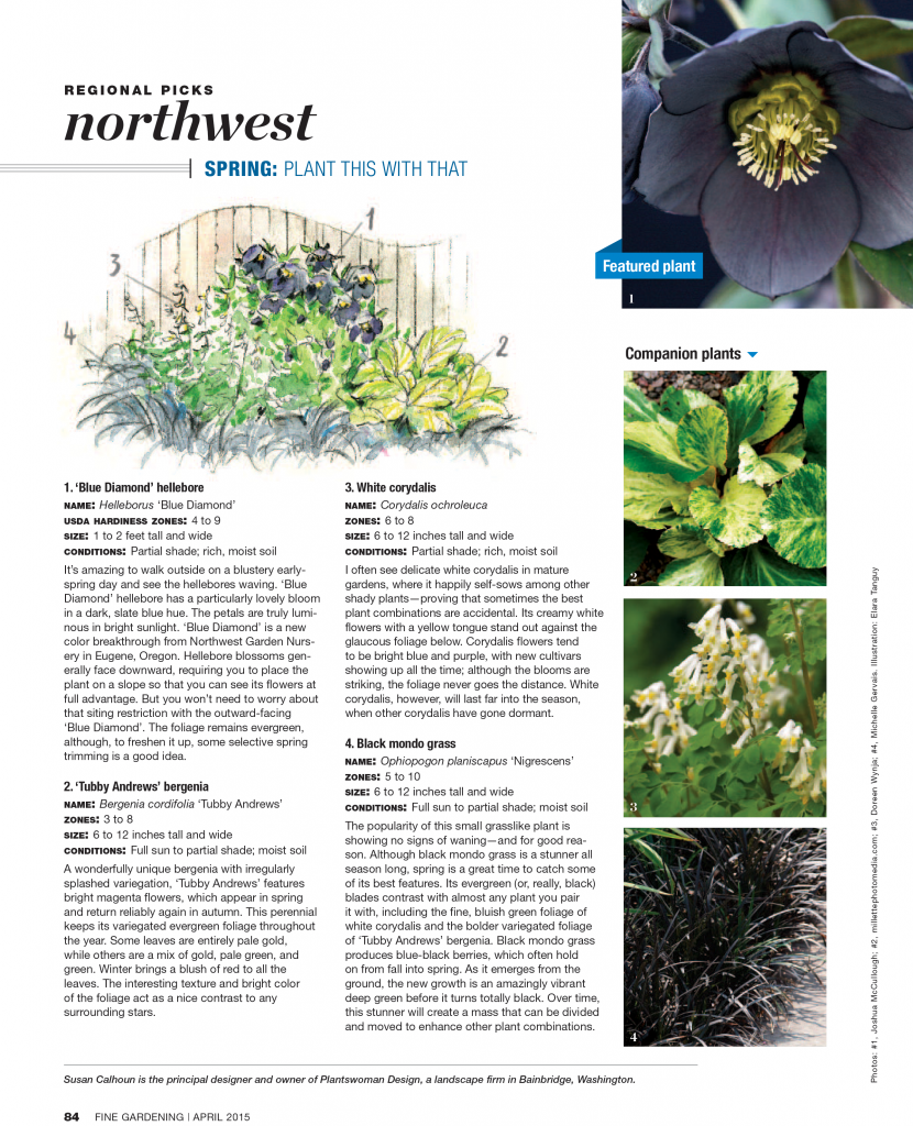 Fine Gardening Magazine, Spring Flower Combination