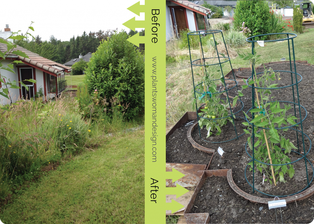 yes-progress-beforeafter-veg-garden