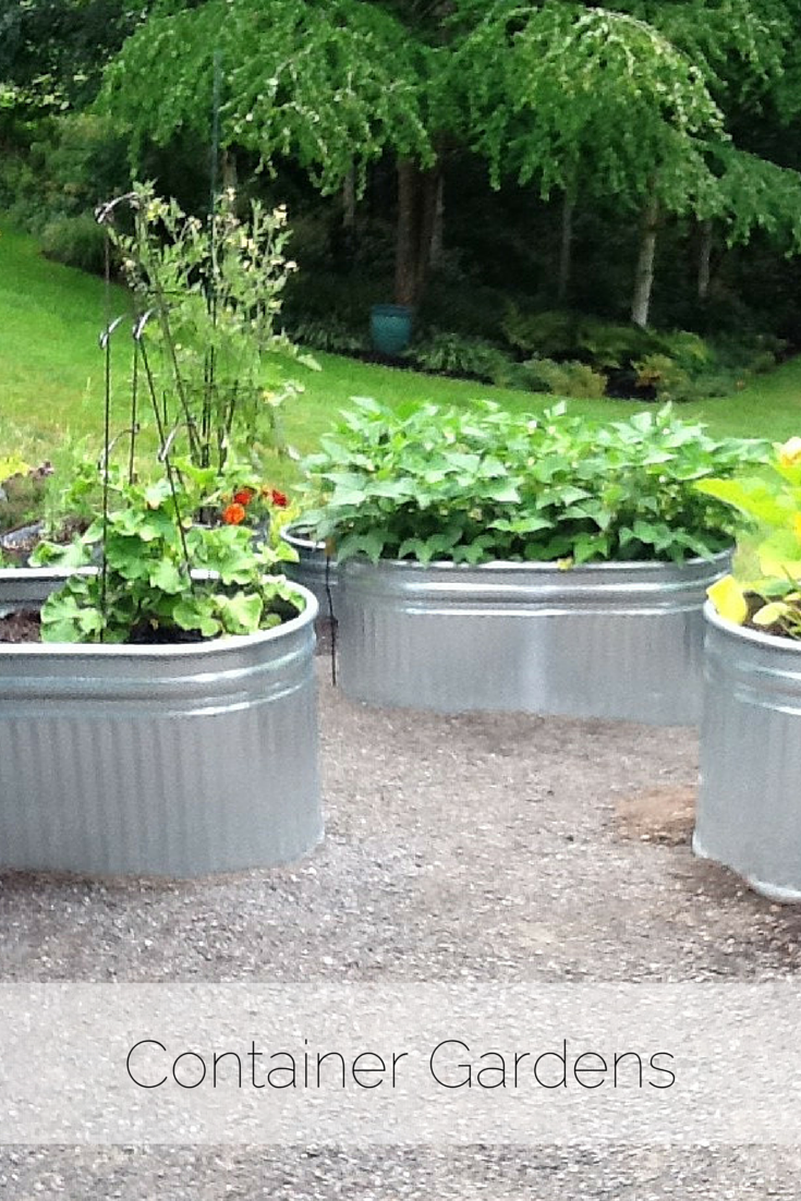 plantswoman design little bytes container gardens