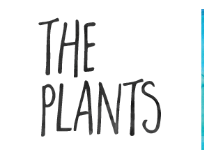 NWFGS 2017 | Plantswoman Design Plants