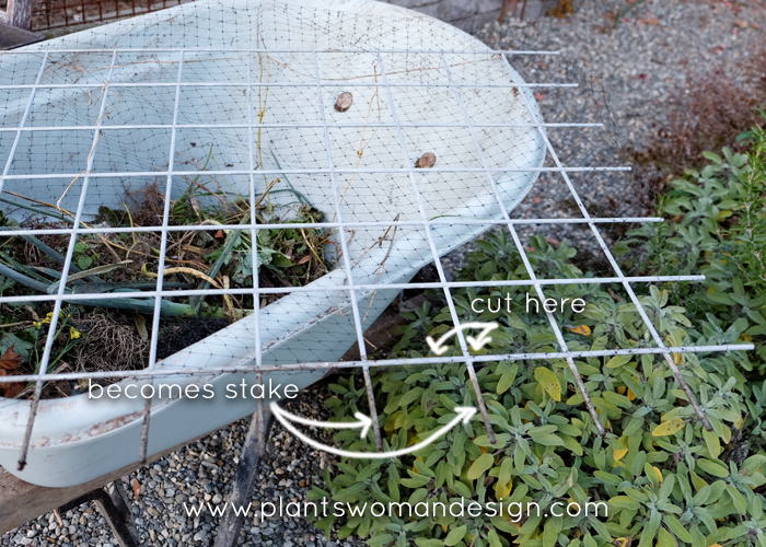 plantswoman design vegetable garden protection, galvanized fencing panels, 