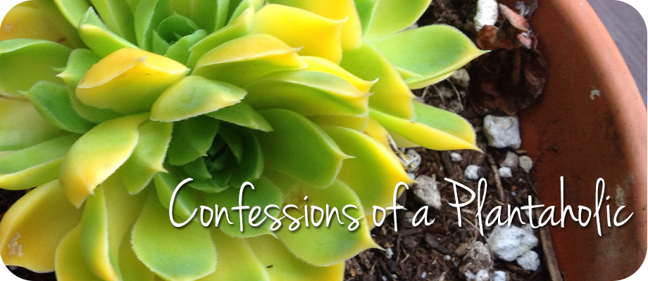 Confessions of a Plantaholic