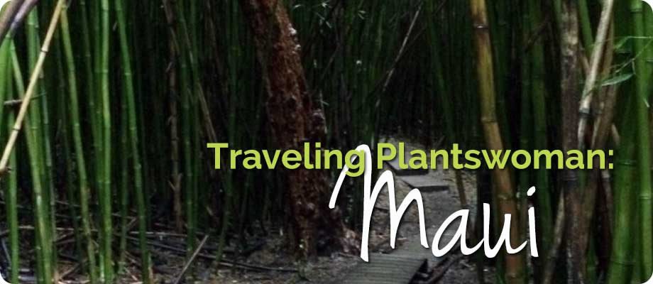 Traveling Plantswoman – Maui
