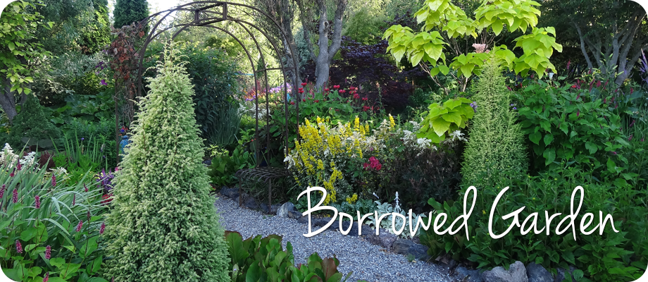Borrowed Garden