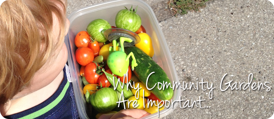 Why Community Gardens are Important?