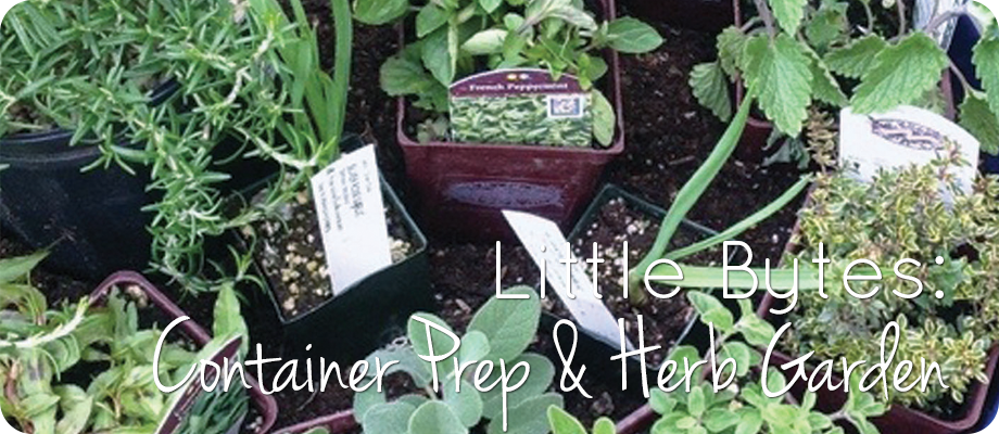 Little Bytes: Container Prep and Herb Garden