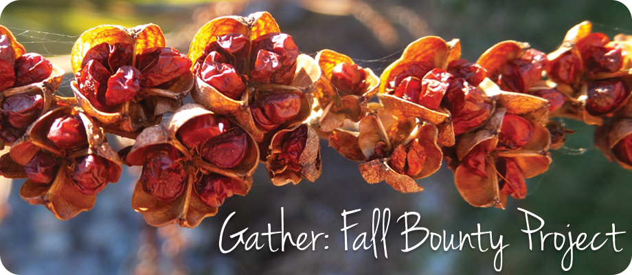 Gather Fall Bounty Project