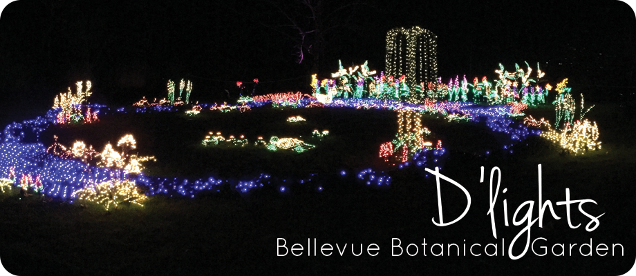 bellevue botanical garden d'lights