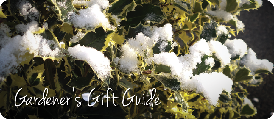 gardener's gift guide