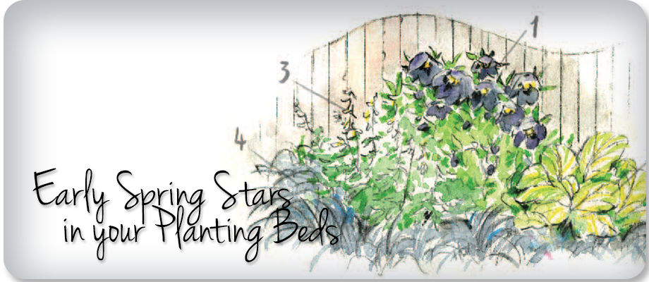 spring planting combination, fine gardening magazine, regional picks