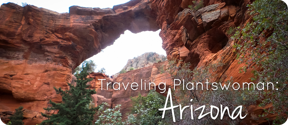 Traveling Plantswoman: Arizona