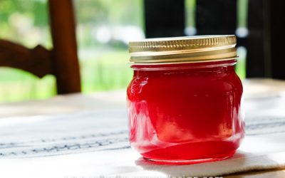 Experiments with Food | Red Currant Jam